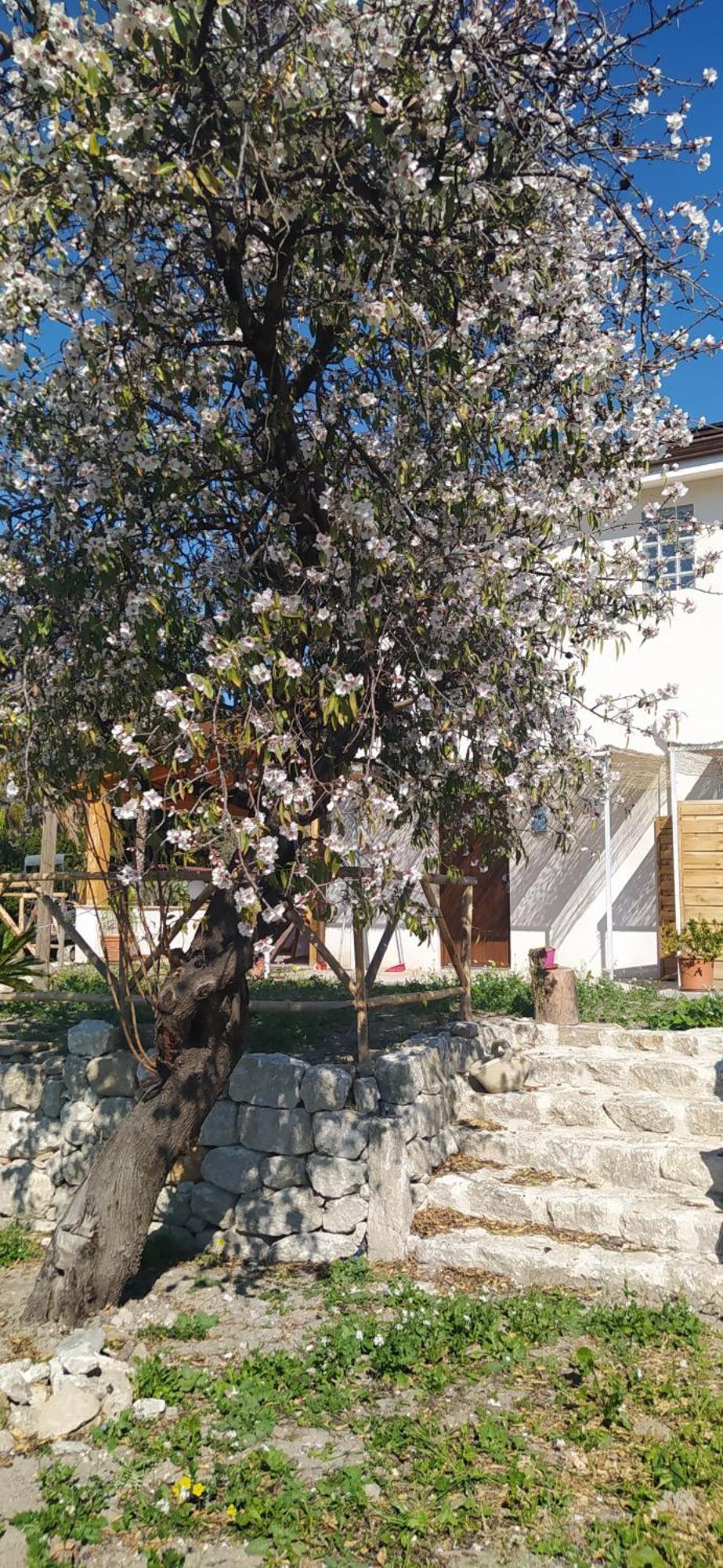 Agriturismo Adenzia Porto Empedocle Bagian luar foto