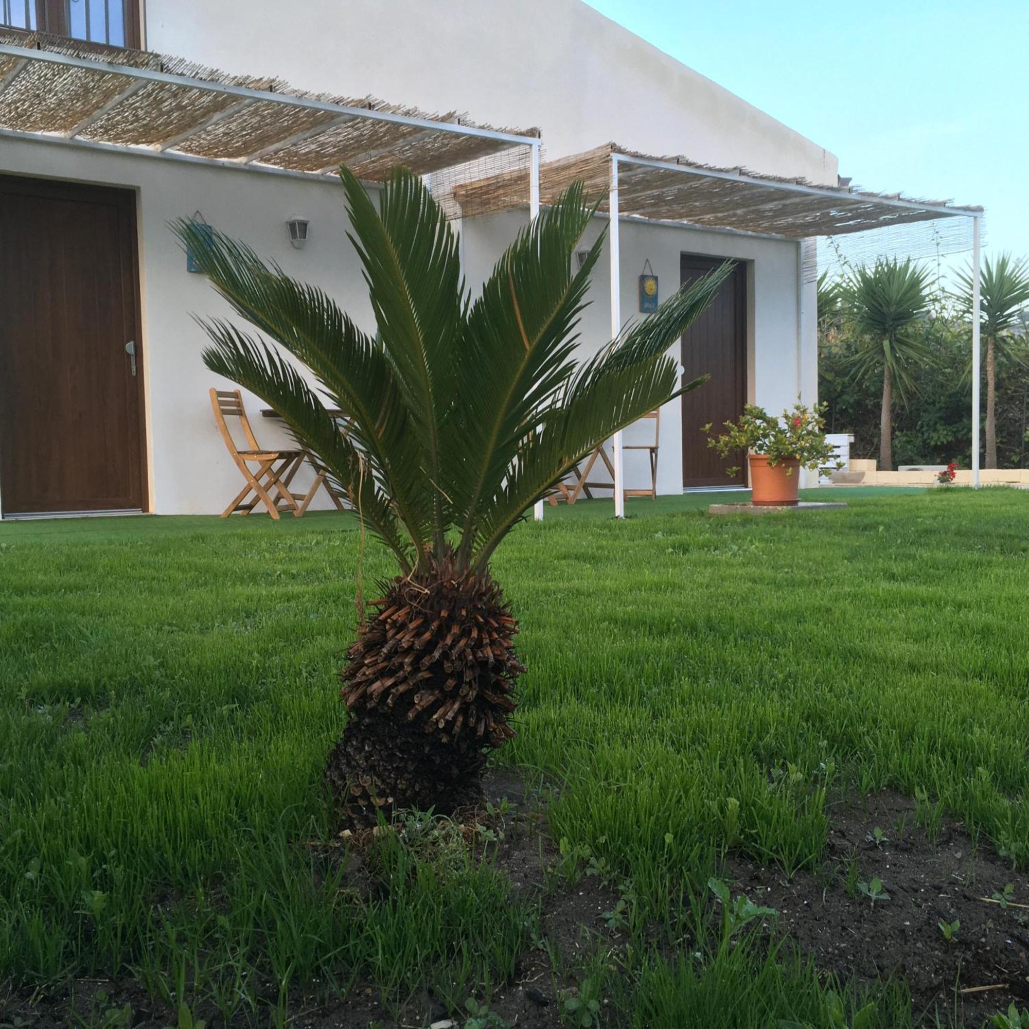 Agriturismo Adenzia Porto Empedocle Bagian luar foto